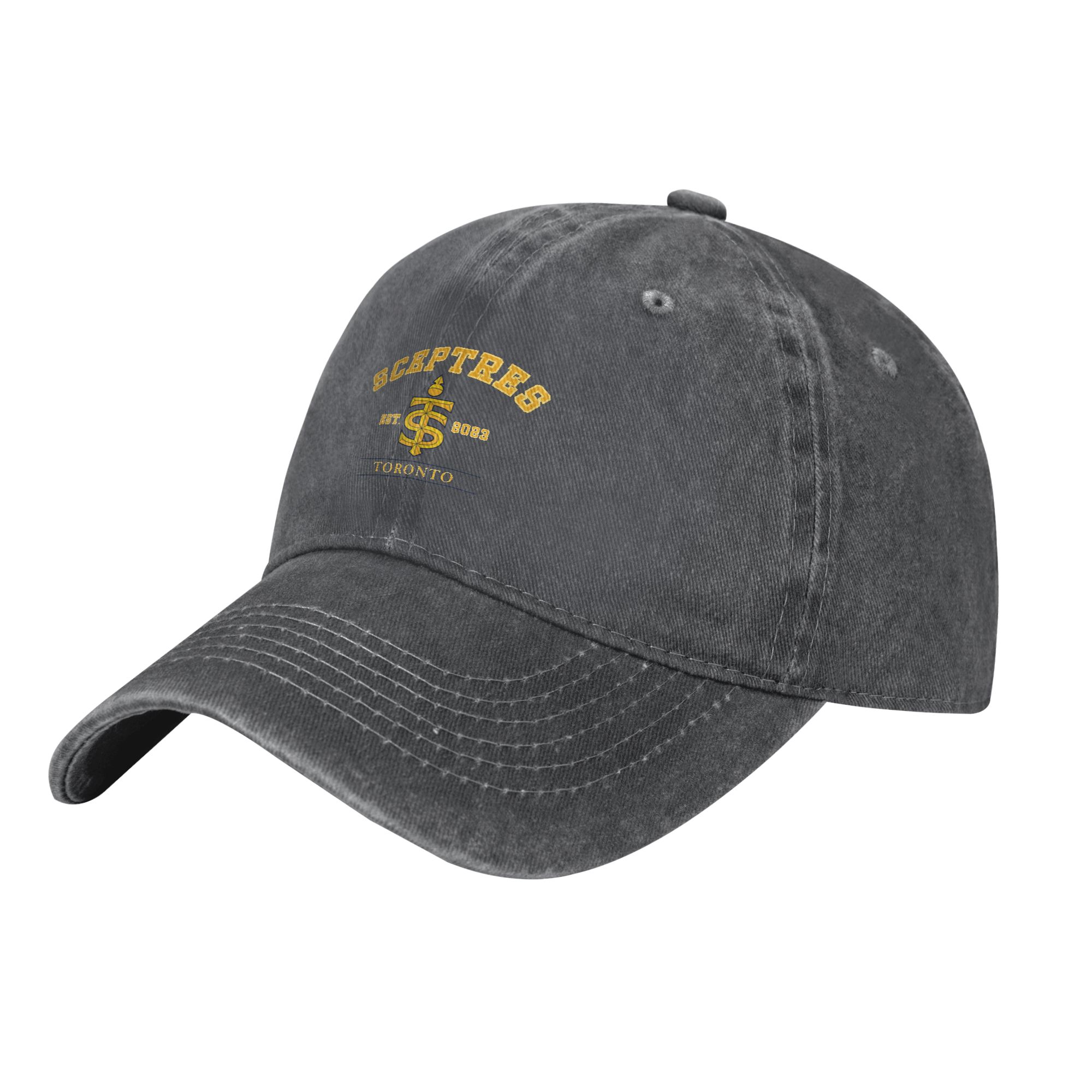 Gorra de béisbol con logotipo  - Vintage Fashion Toronto reseña y precio